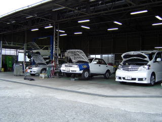 �C���H��